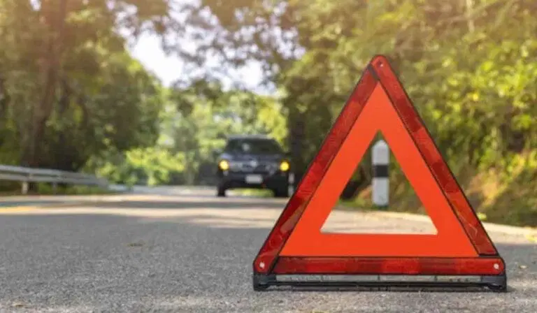A red warning triangle is placed on a road with a car stopped in the background amid trees and sunlight.
