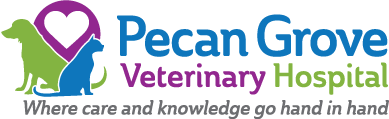 Pecan Grove Veterinary Hospital